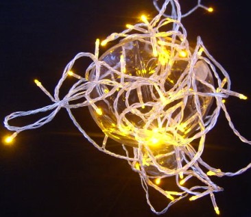  manufacturer In China Warm White 50 Superbright LED String Lights Static On Clear Cable  factory